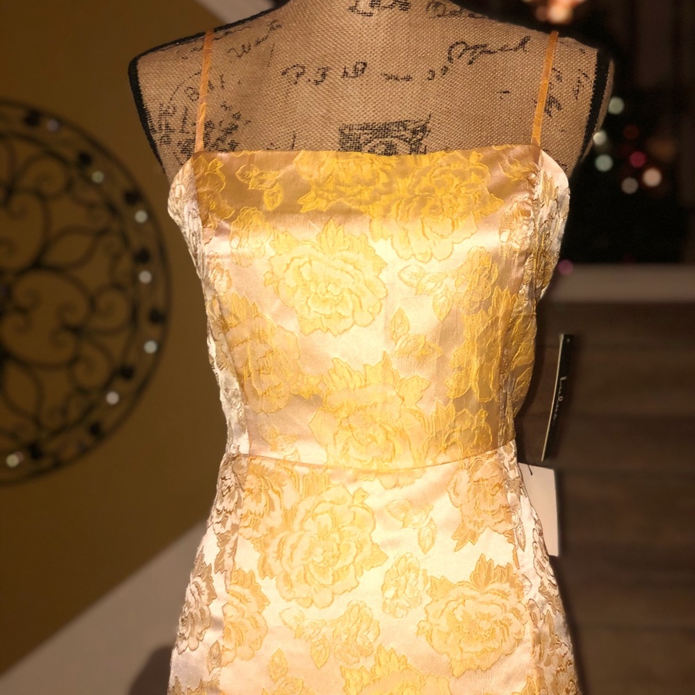 NWT Beautiful Lulus Dress.